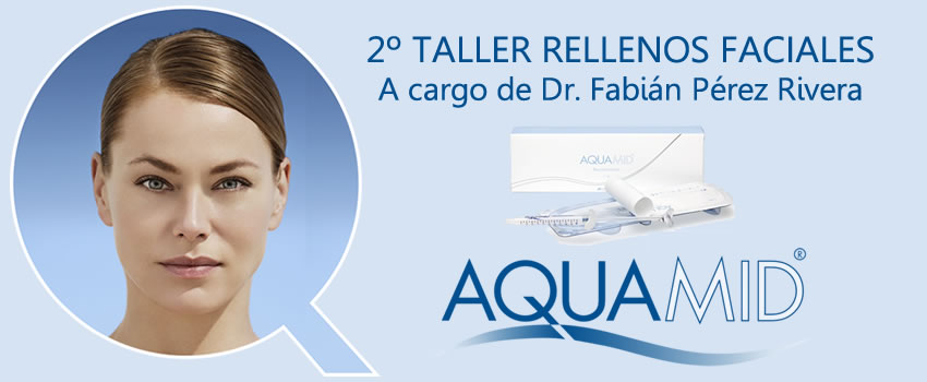 2do Workshop sobre Rellenos Faciales