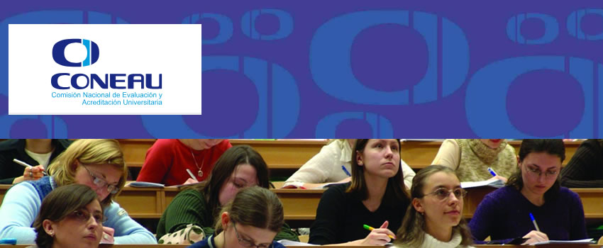 Experto evaluador de carreras por CONEAU